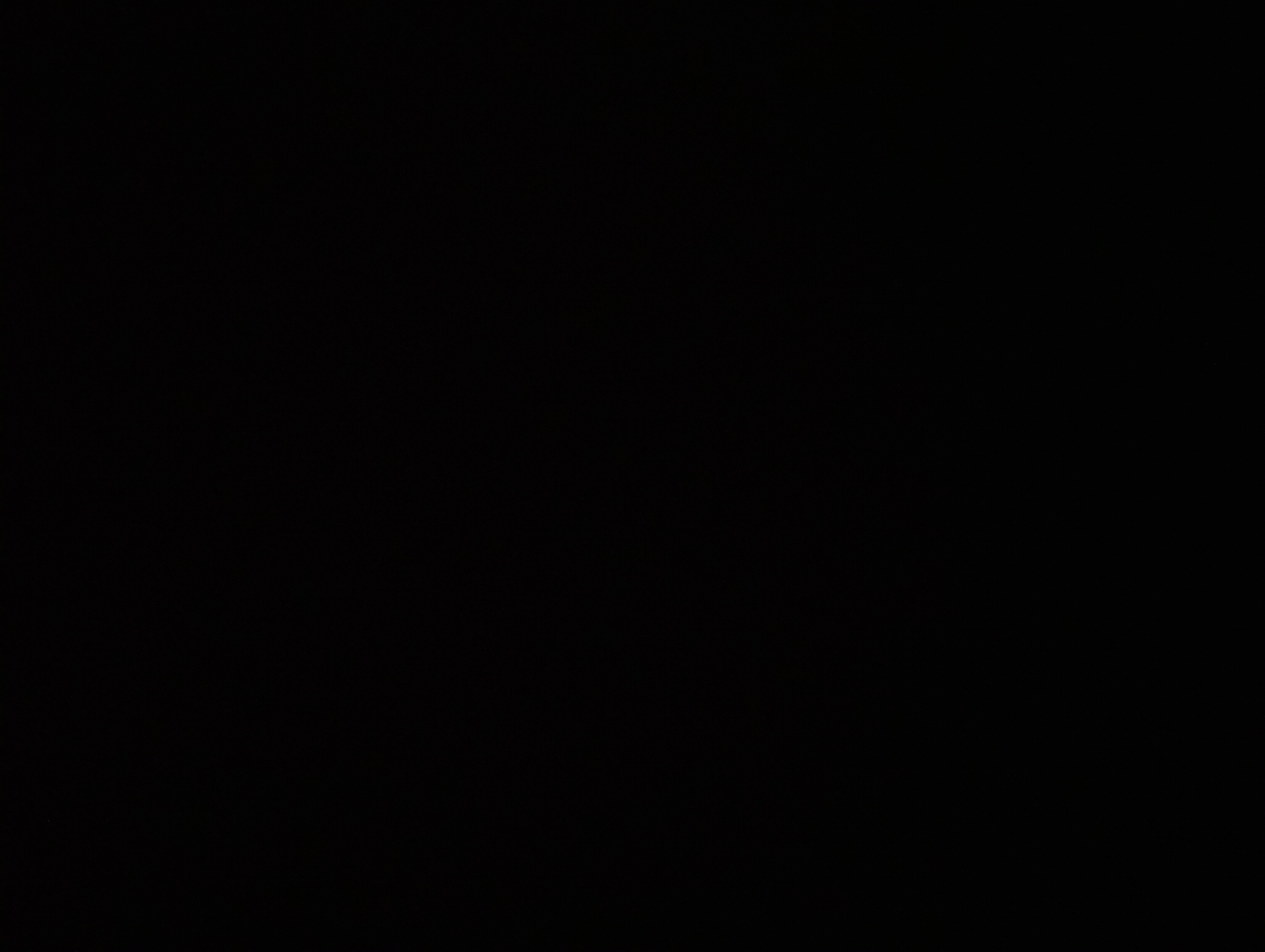 Foto da galeria de Wander