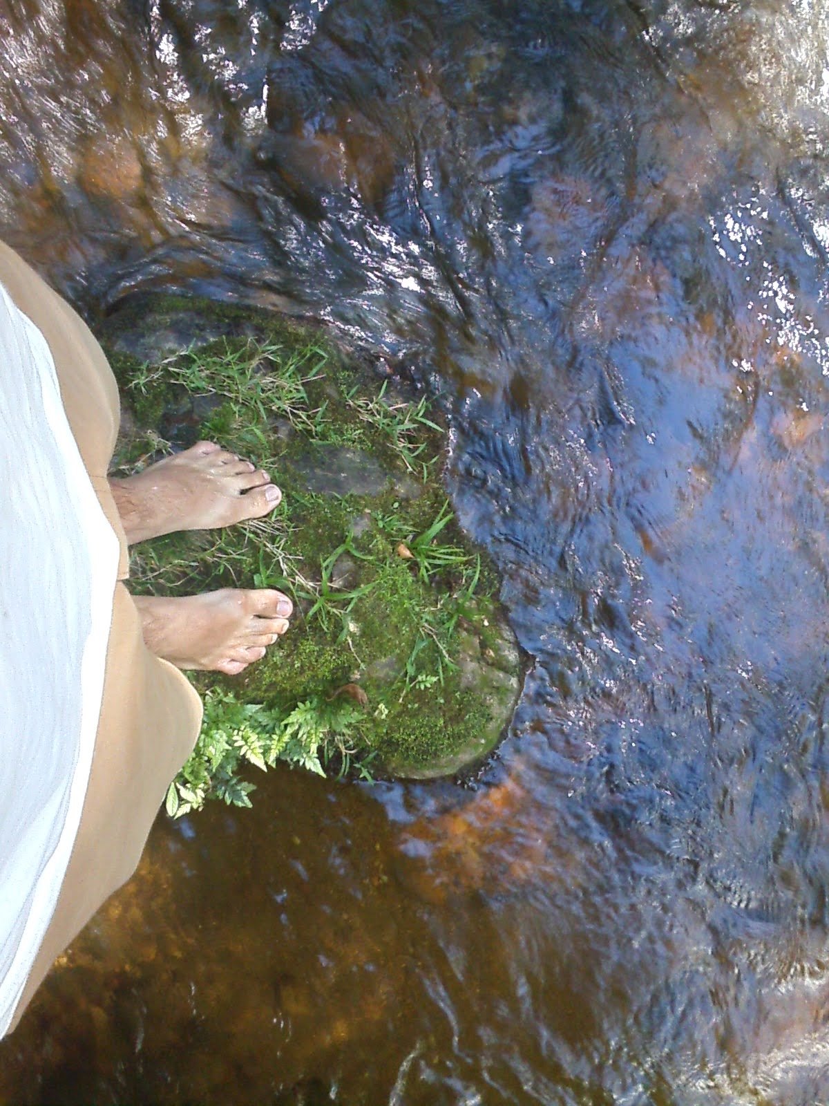 Foto da galeria de Mikaramos 