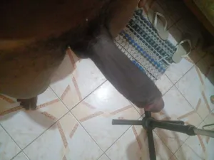 Foto da galeria de Baianodotado23