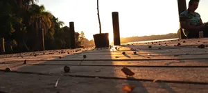 Foto da galeria de Marido de aluguel 